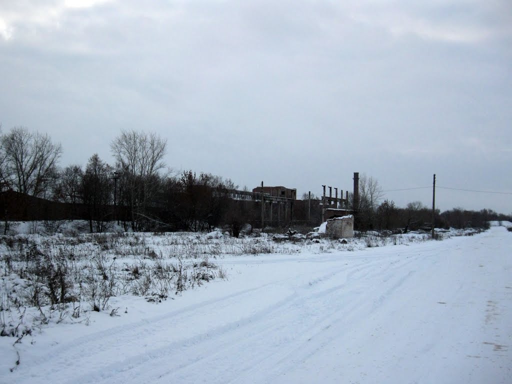 Куркино тульская область фото Куркино тульская область фото