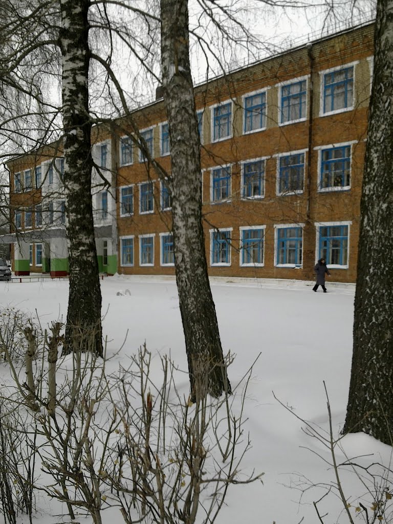 Школа №2 п. Куркино, Куркино