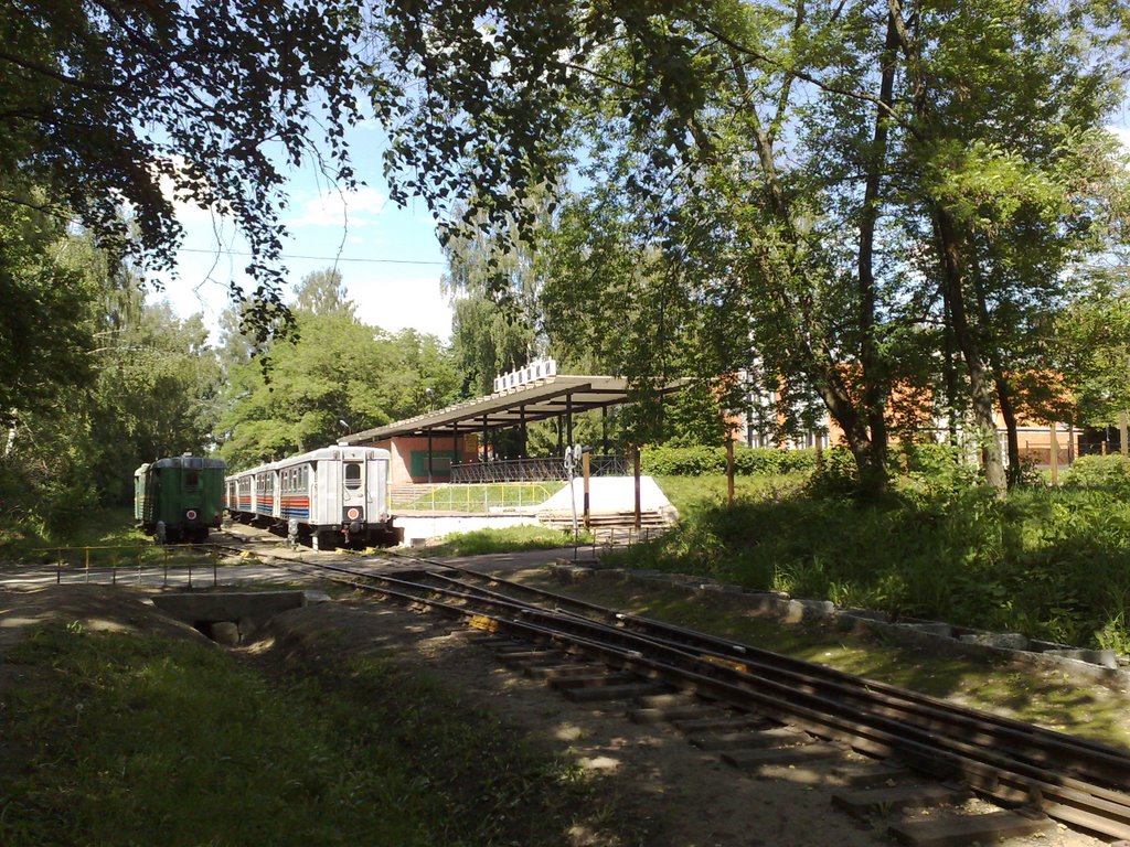 Novomoskovsk Childish railway...., Новомосковск