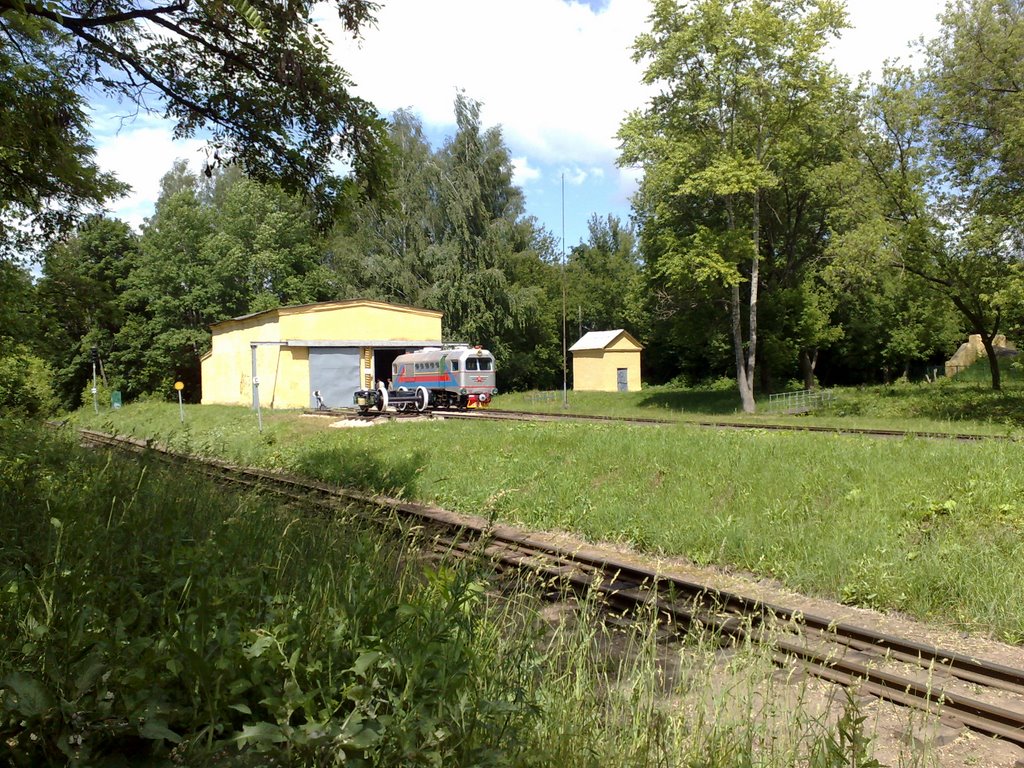 Novomoskovsk Childish railway..., Новомосковск