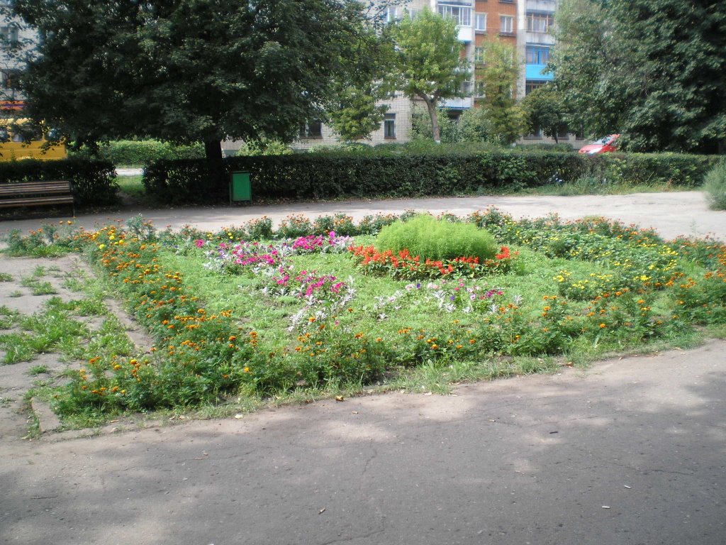 Ночной Новомосковск - вид сверху: Фоторепортаж