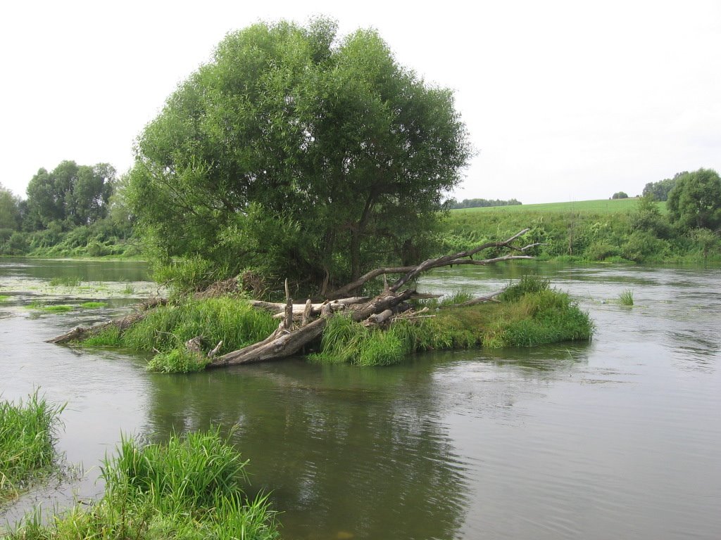 An island at Upa river, Одоев