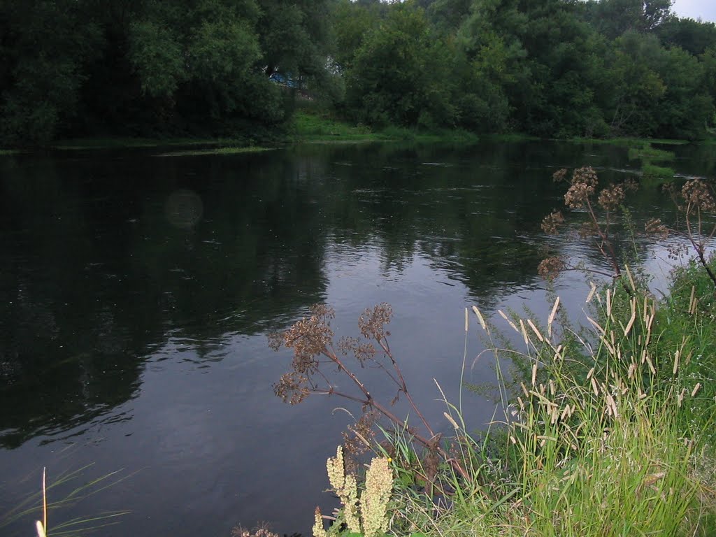 река Плава, Плавск