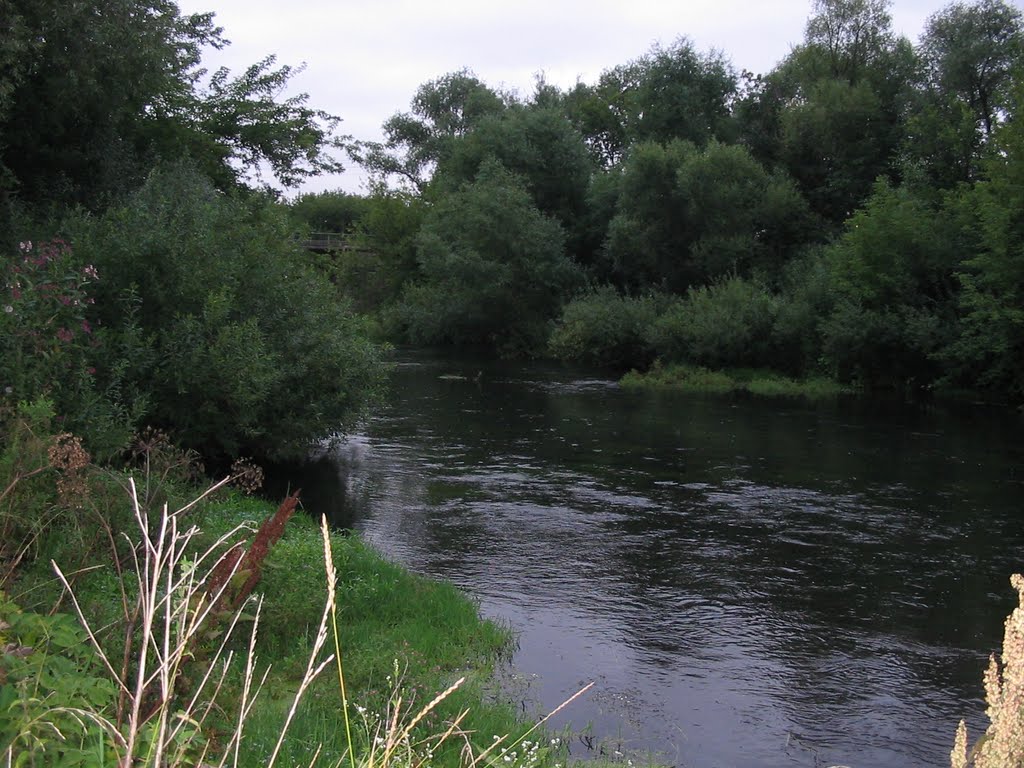 река Плава, Плавск