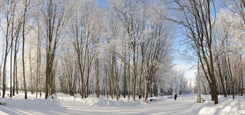 Городской парк.Зима. Панорама, Узловая