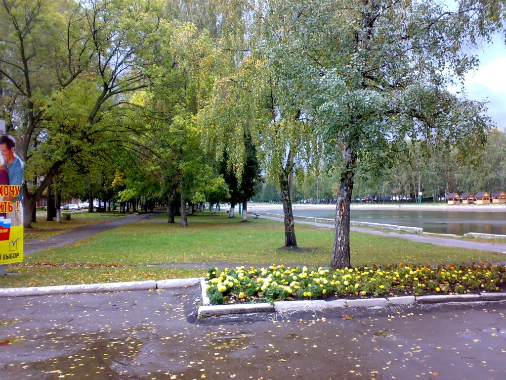Городской пруд (city water), Узловая
