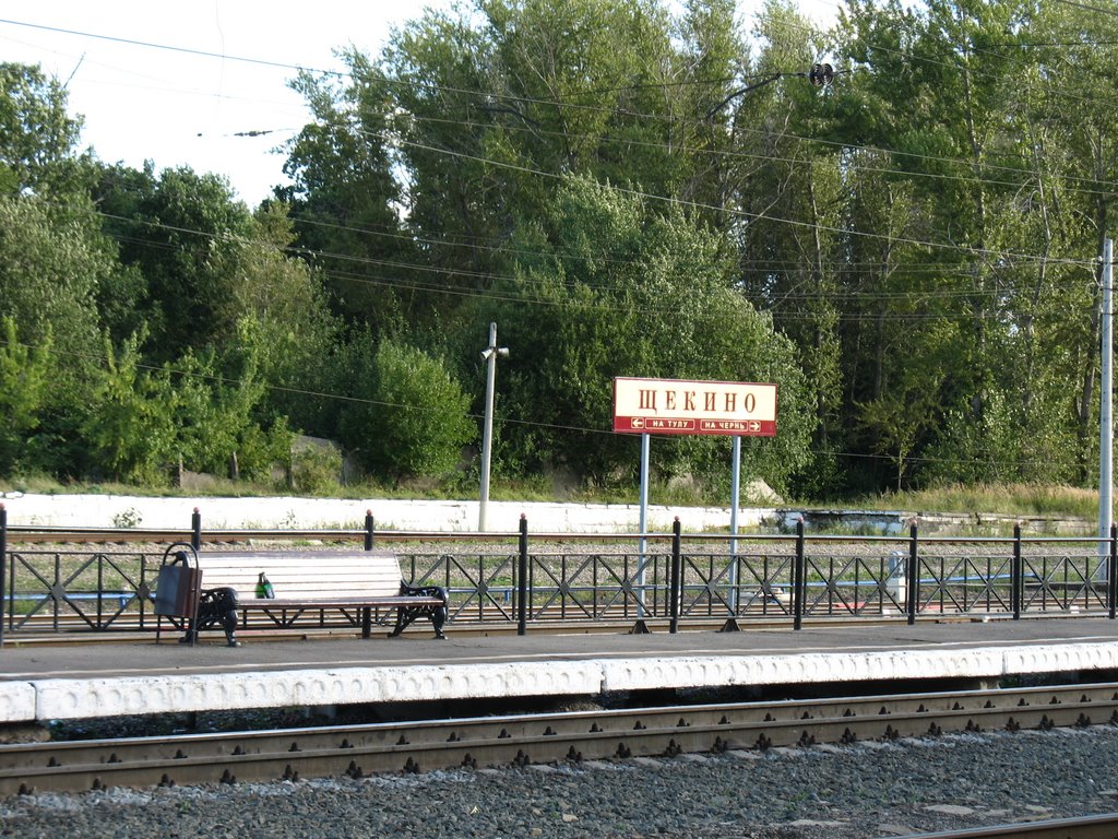 Станция Щекино, Щекино