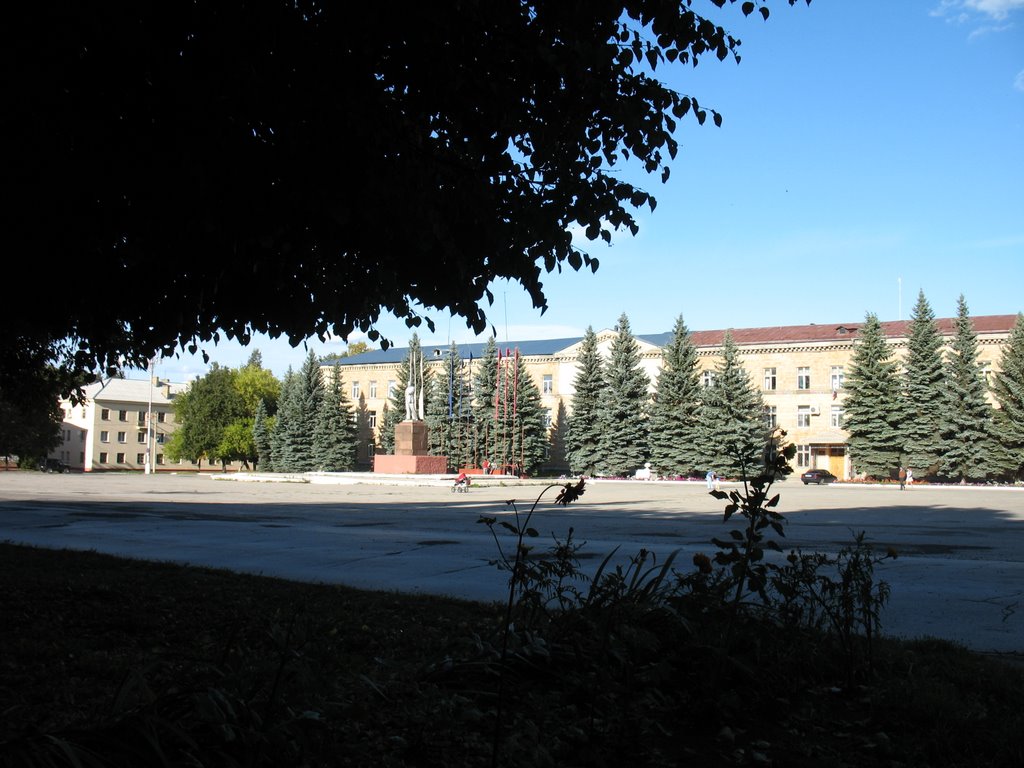 Площадь, Щекино