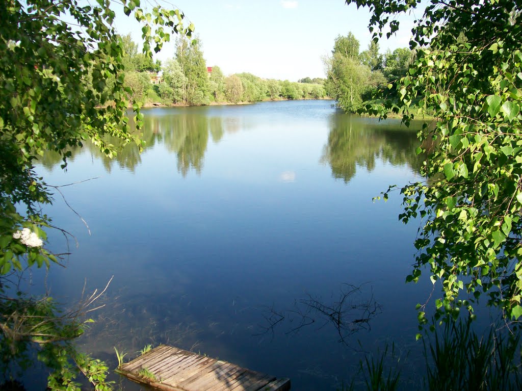Озеро Старина, Щекино