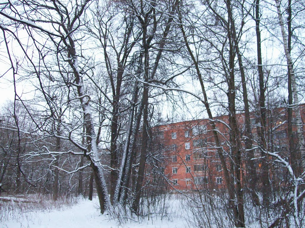 Большой дом рядом с лесом, Щекино
