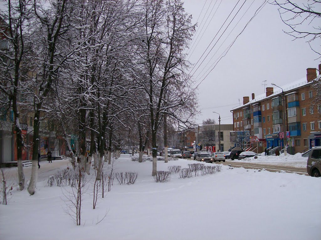 Улица Лукашина, Щекино
