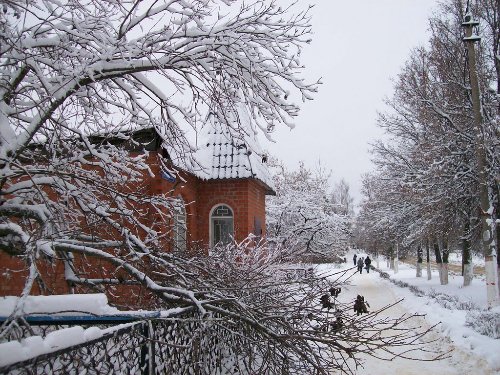 Зима на улице Лукашина, Щекино