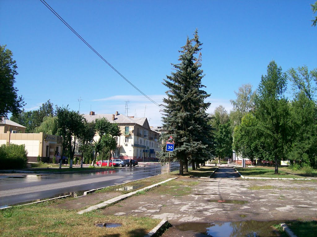 Улица Ленина, Щекино