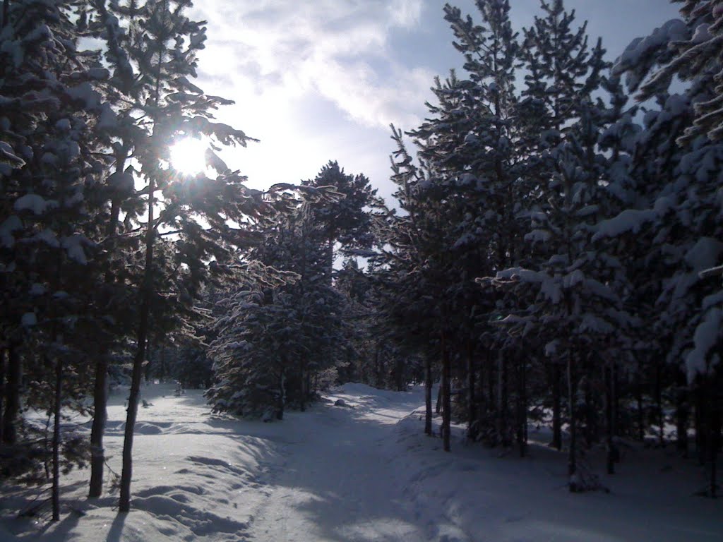 Когалым зимой фото Когалым зимой фото