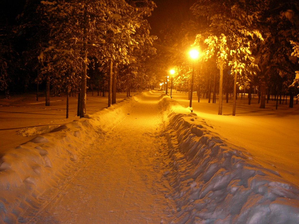 park at night, Муравленко