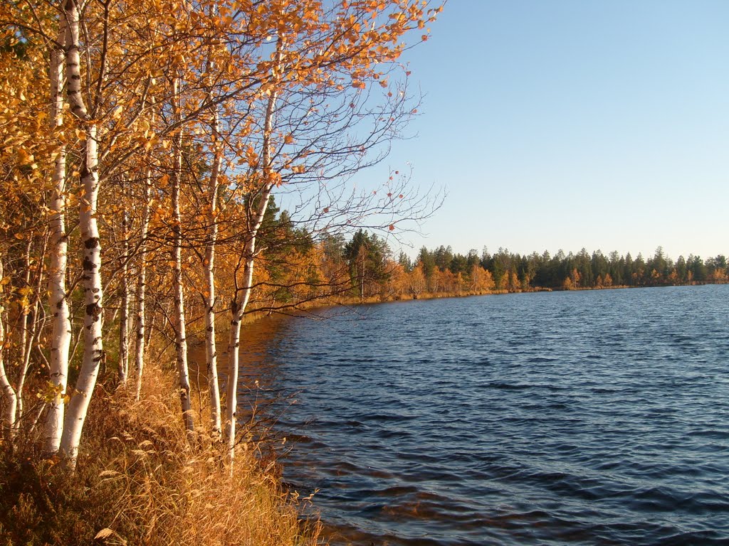 Autumn in Siberia, Муравленко