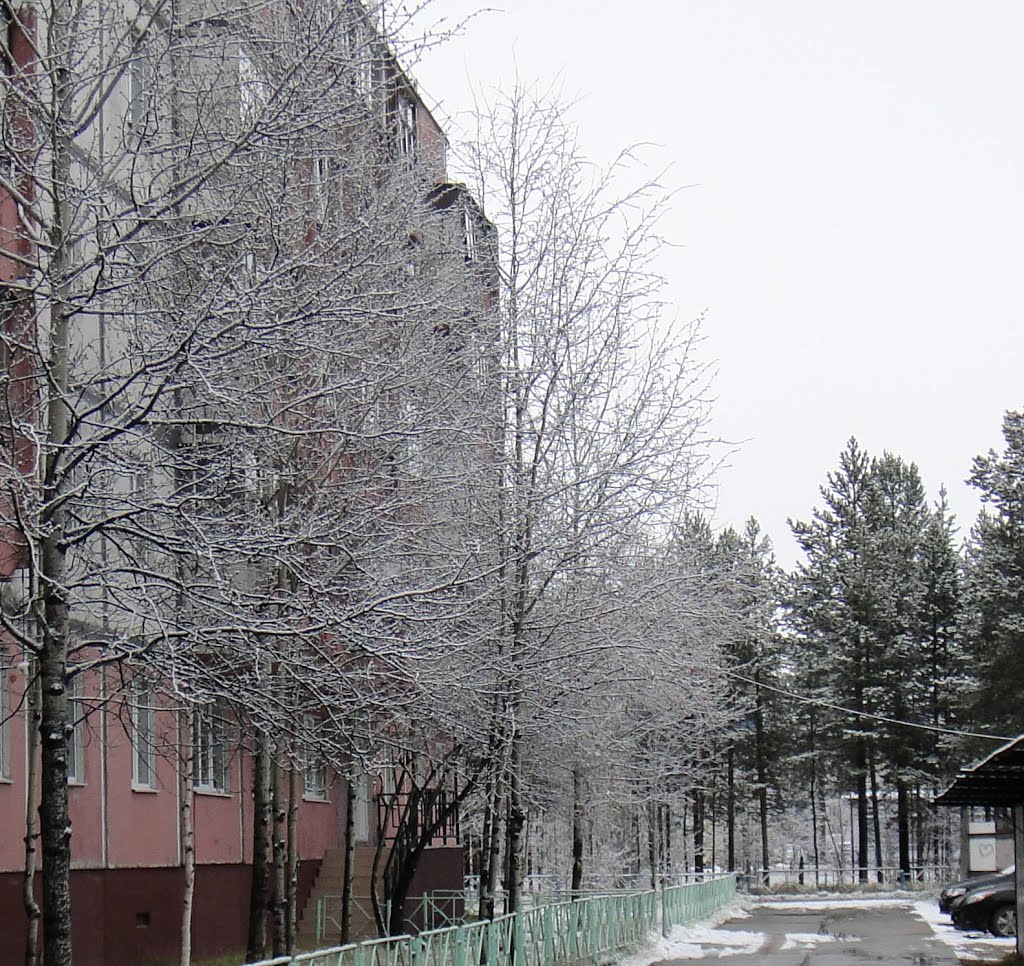 Муравленко начало зимы 2012, Муравленко