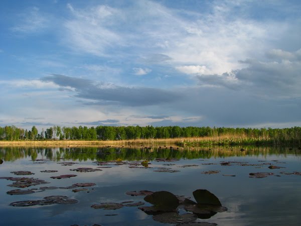 озеро Орлово, Бердюжье