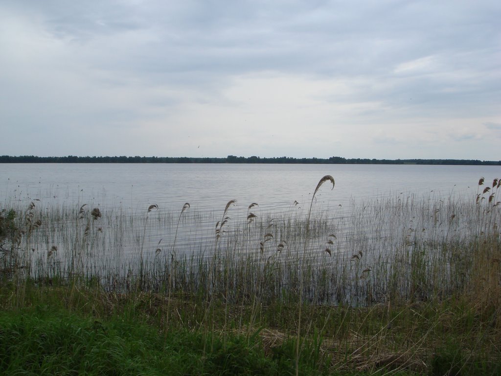 озеро "Большой Чуртан", Большое Сорокино