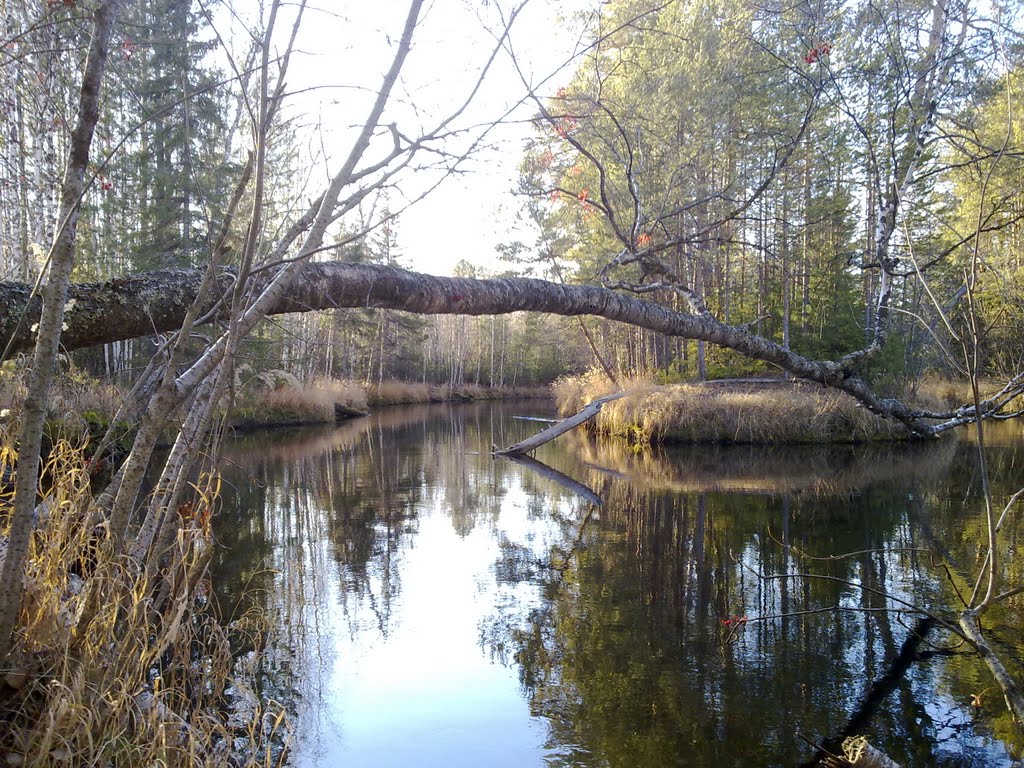 Заколдованная речка (Минчимкина), Заводопетровский