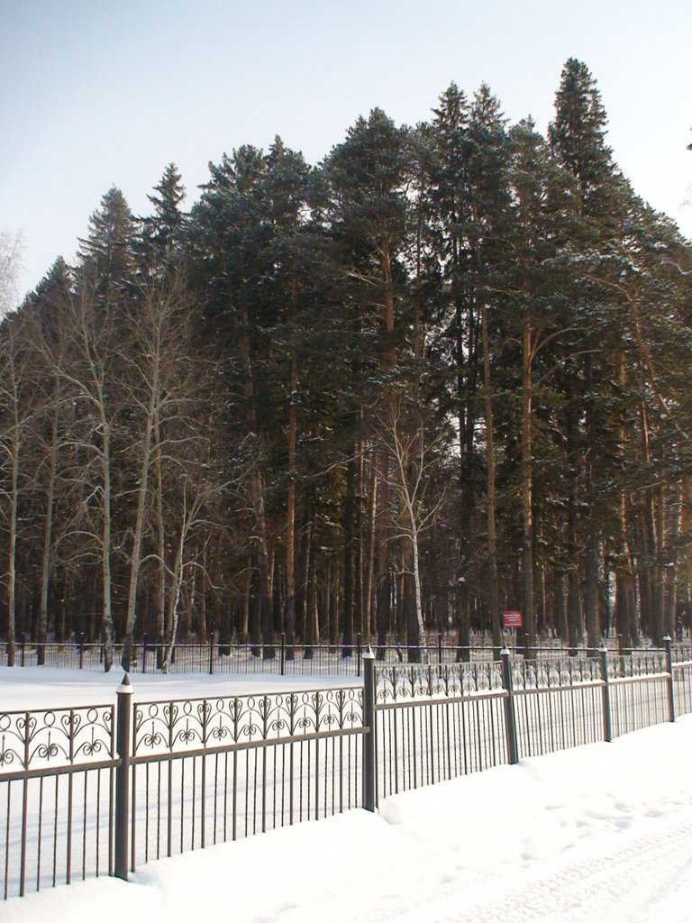 Колмаковский парк, Заводоуковск