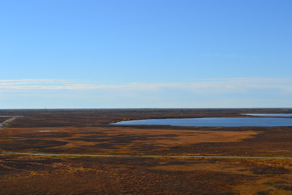 tundra, Yemoto lake, Находка