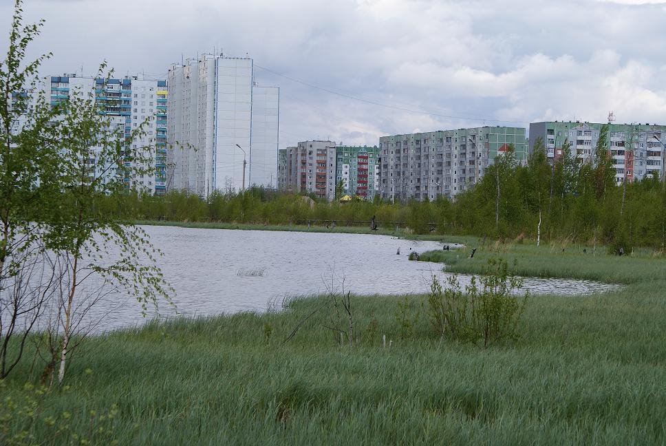 Озеро Комсомольское.г.Нижневартовск, Нижневартовск