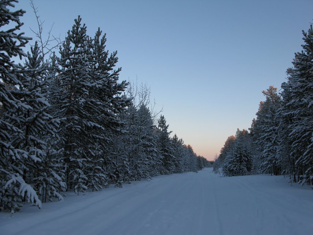 ► На лыжи и вперёд.   *, Ноябрьск