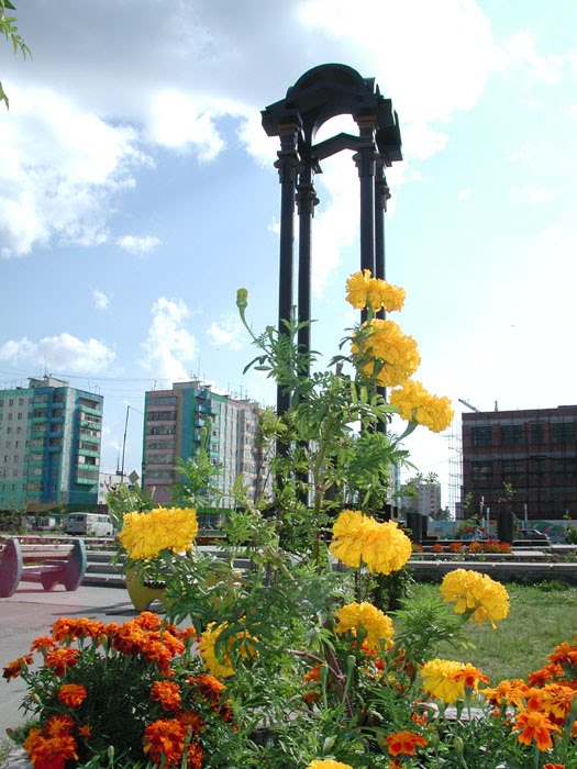 Памятник в центре, Радужный
