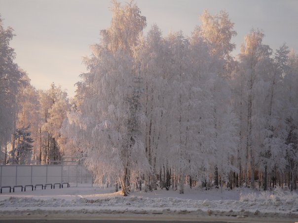 Зима в парке, Советский