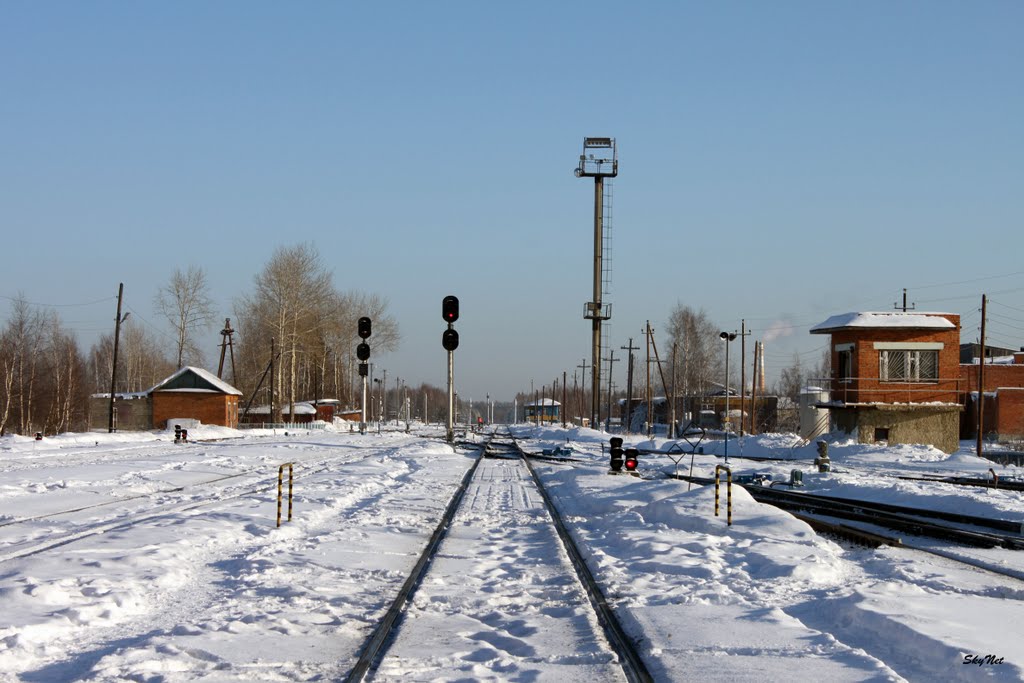 На север (30.01.2011), Советский