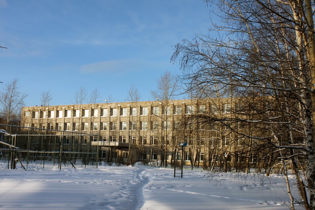 Школа №1 (30.01.2011), Советский