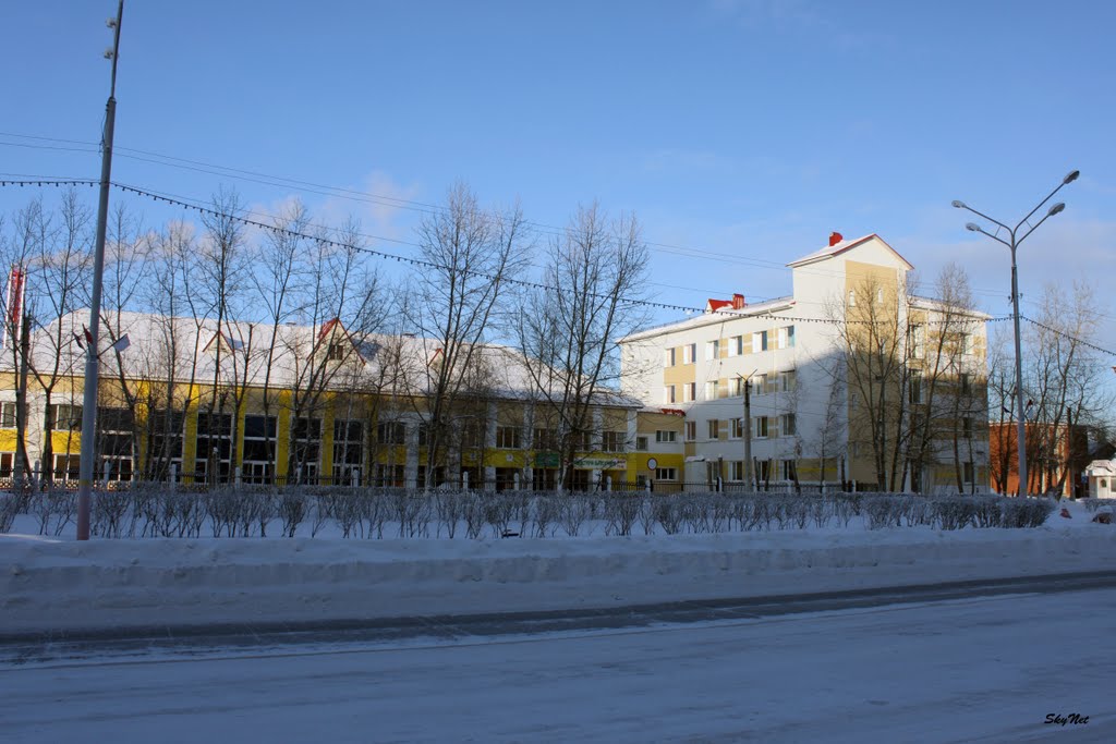 Профессиональный колледж (30.01.2011), Советский