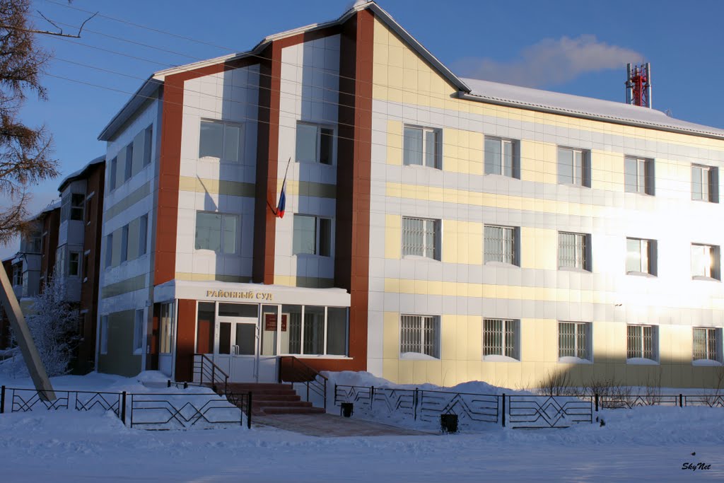 Советский районный суд (30.01.2011), Советский