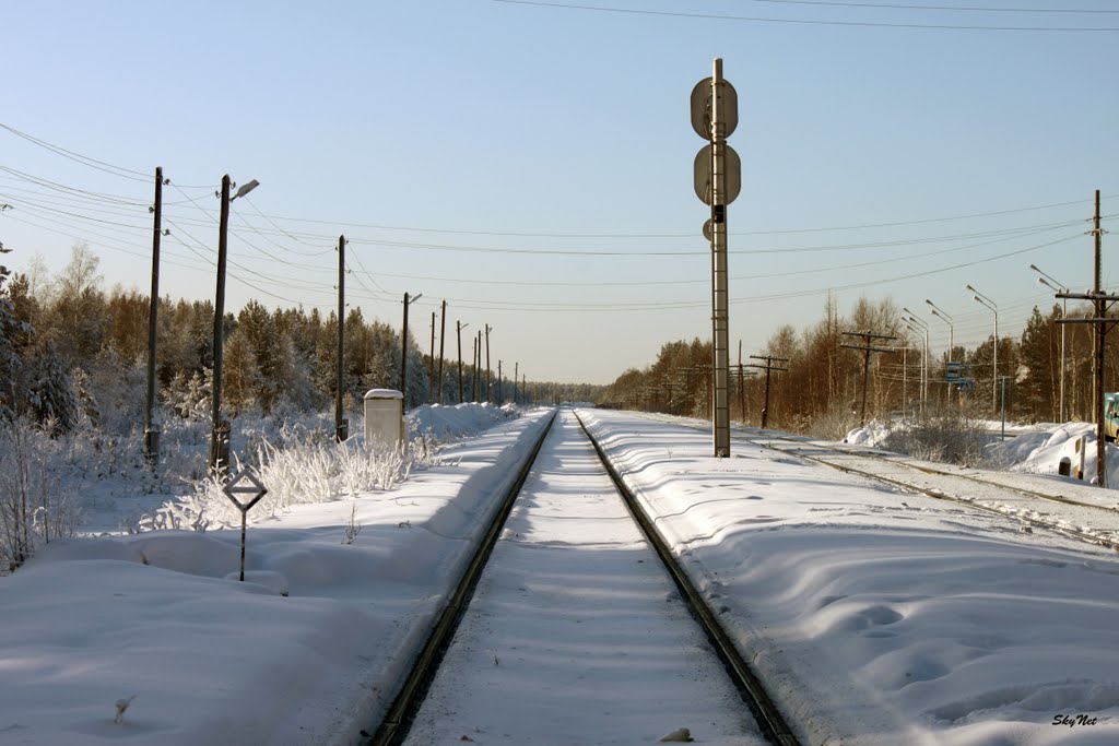 На юг (30.01.2011), Советский