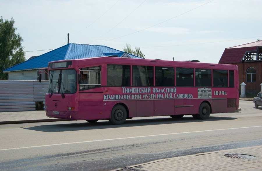 Автобус междугородный ГолАЗ-ЛиАЗ-5256R на улице С.Ремезова / The long-distance bus GolAZ-LiAZ-5256R in the S.Remezovs street (14/06/2008), Тобольск