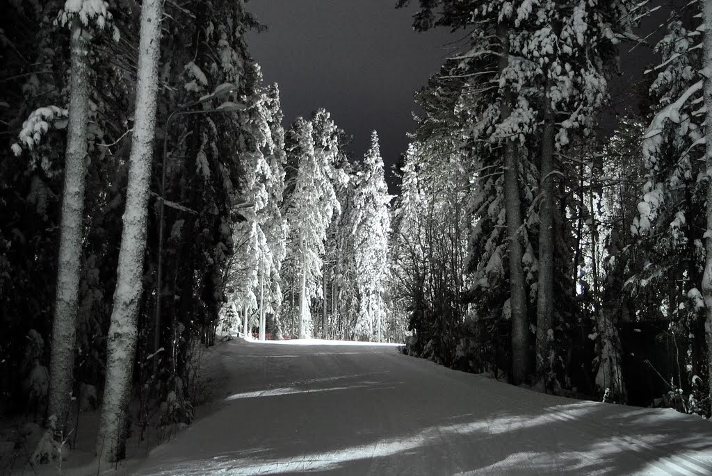 Прогулка в зимнем лесу, Ханты-Мансийск