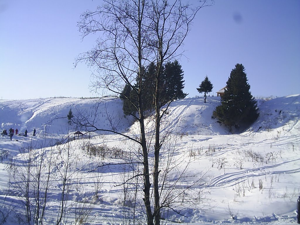 Пугачевский лог зимой, Завьялово