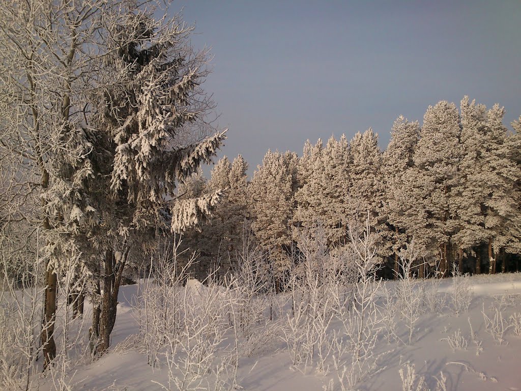 Зимний лес, Игра