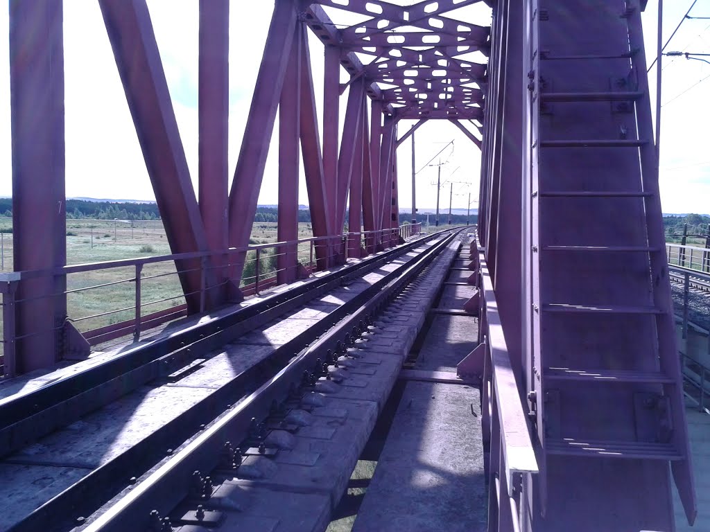 Камбарский ЖД мост, Камбарка