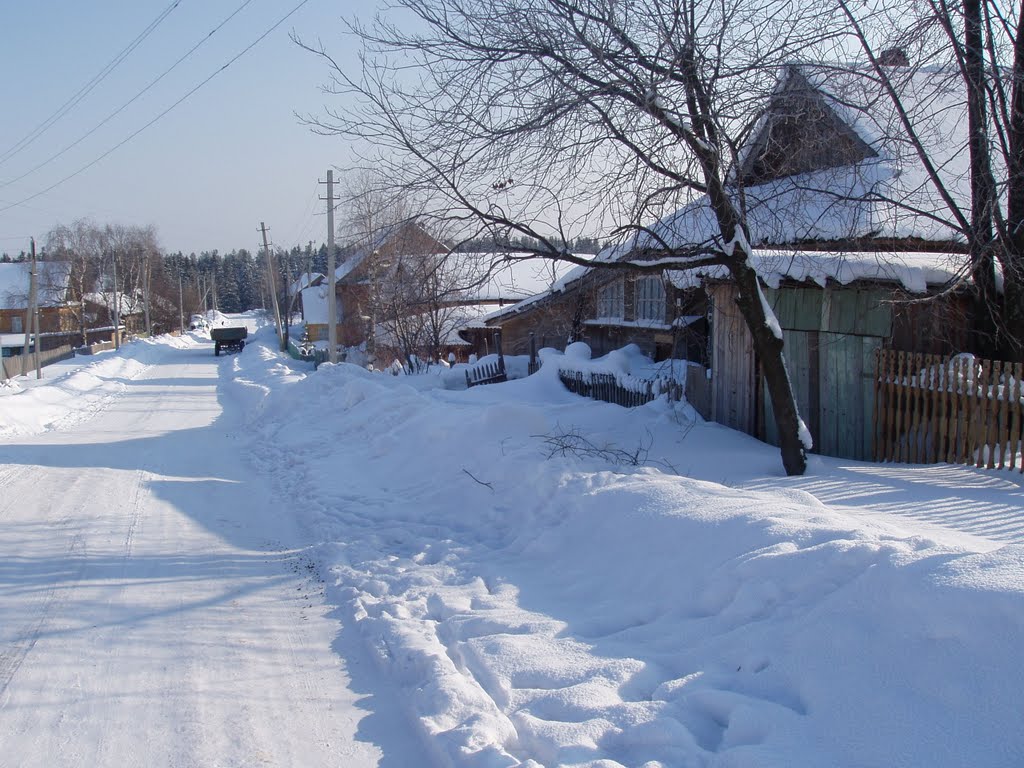 село Красногорское, улица Луначарского зимой, Красногорское