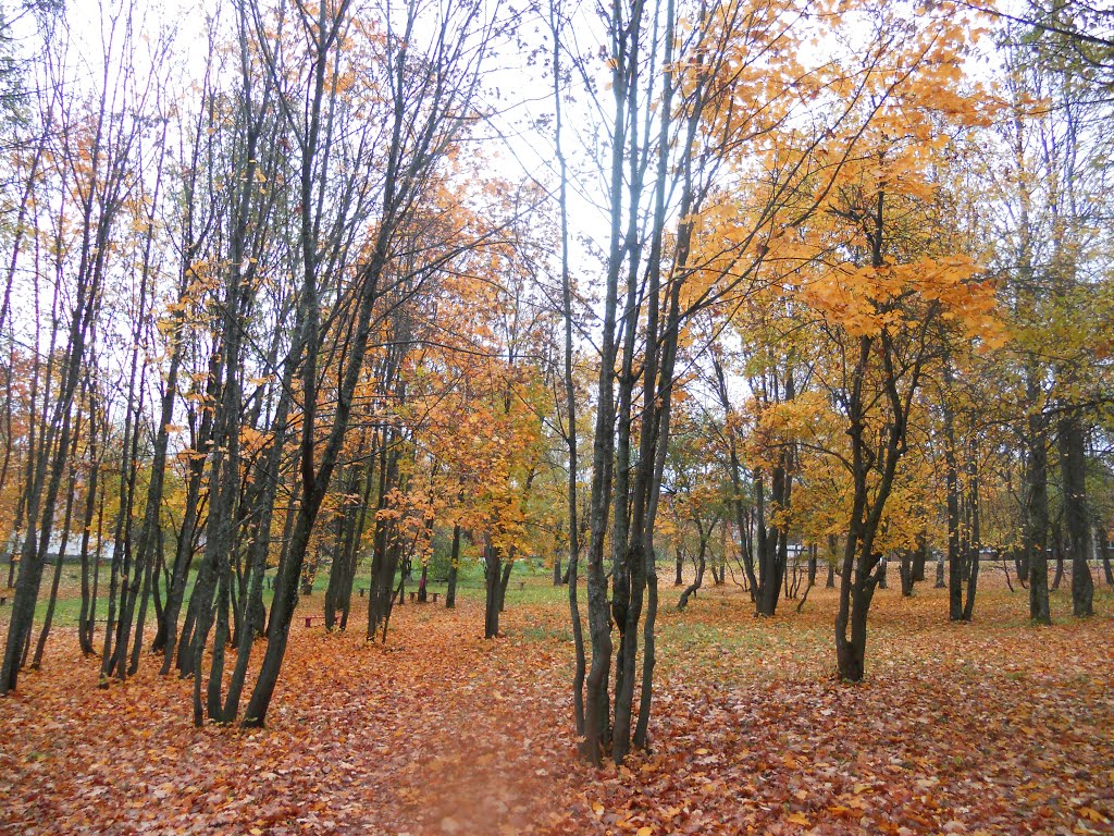 Осень, Красногорское