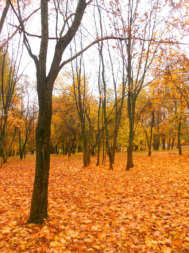 Осенняя природа, Красногорское