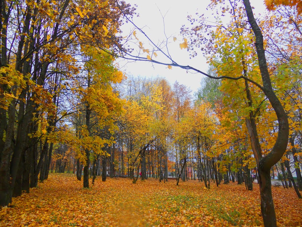 Осенний парк, Красногорское