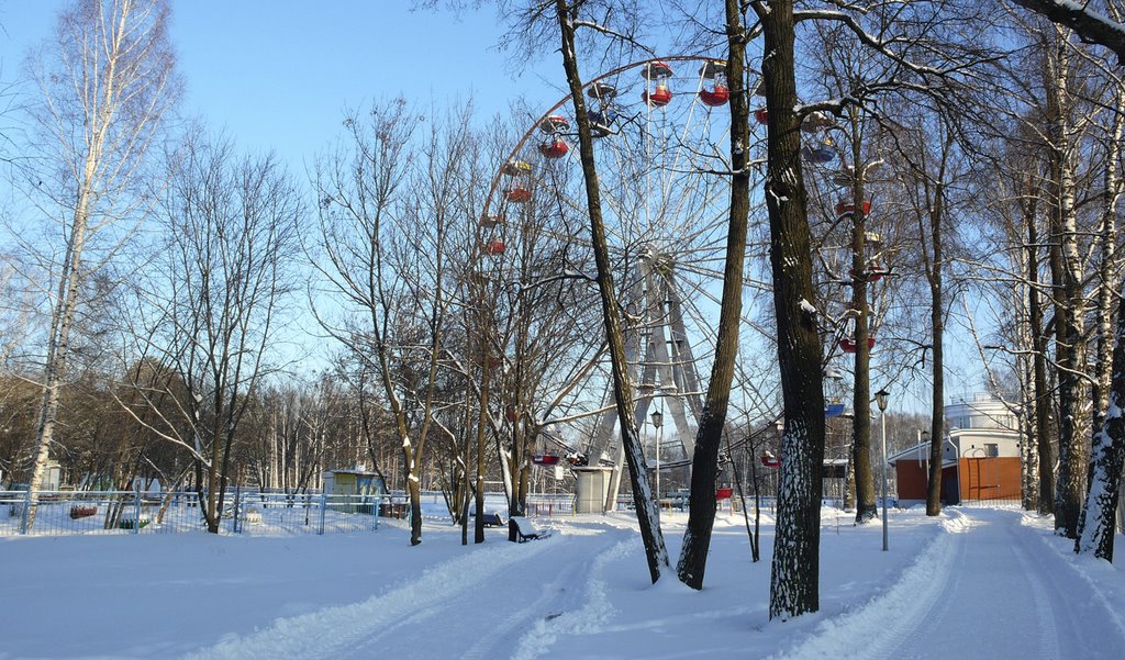 Городской парк зимой, Можга