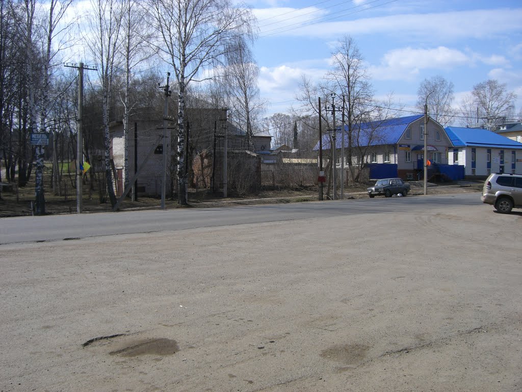 улица Пушиной, Якшур-Бодья