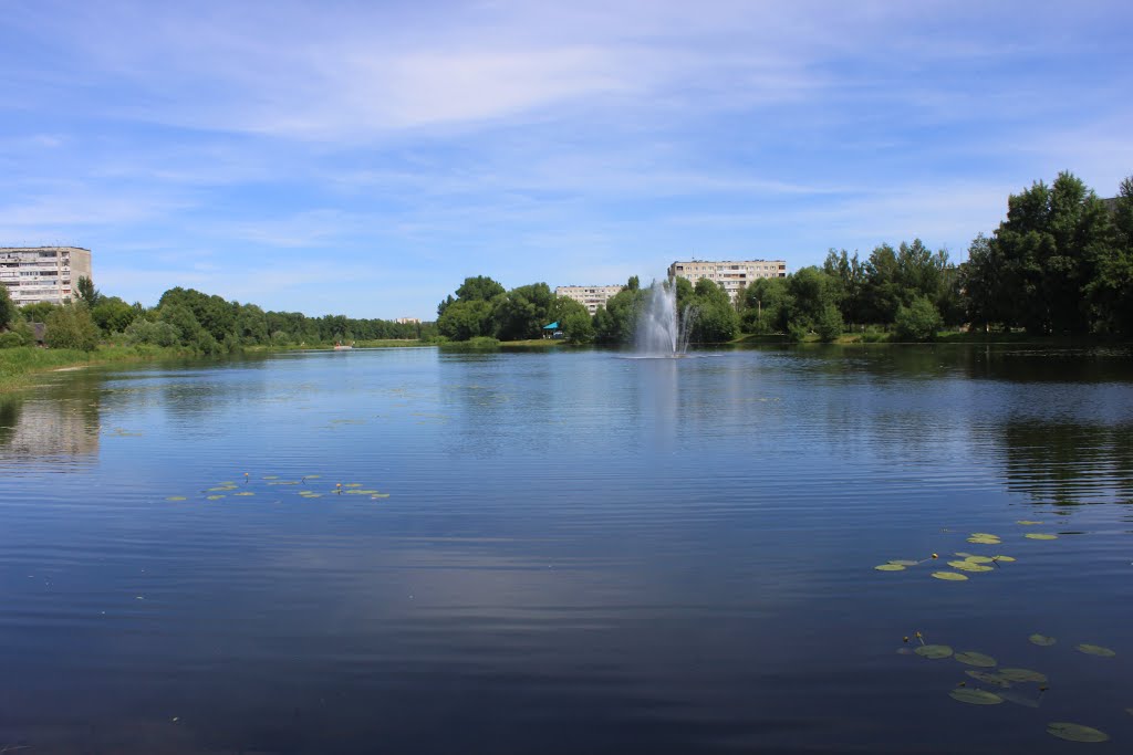 Верхний пруд димитровград фото