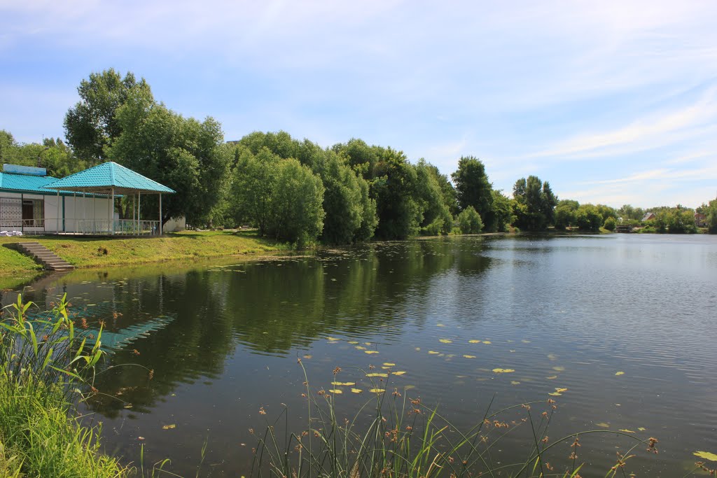 Маркво Пруд в Димитровграде: Природный Уголок Природные истории Фотогалерея прир