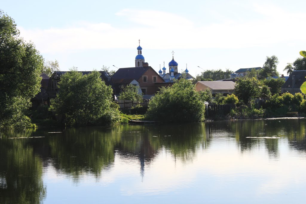 Маркво Пруд в Димитровграде: Природный Уголок Природные истории Фотогалерея прир