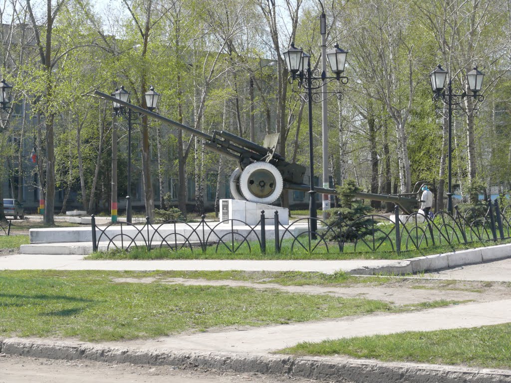 пушка, Димитровград